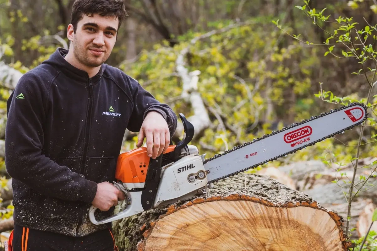 Hvad koster det at få fældet et træ: 5 ting, der påvirker prisen